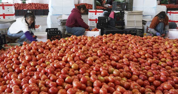 新春走基层｜卡友在路上，此站亦是“家”