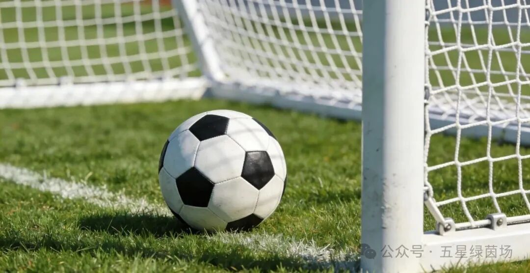 25-26赛季法甲第19轮赛报