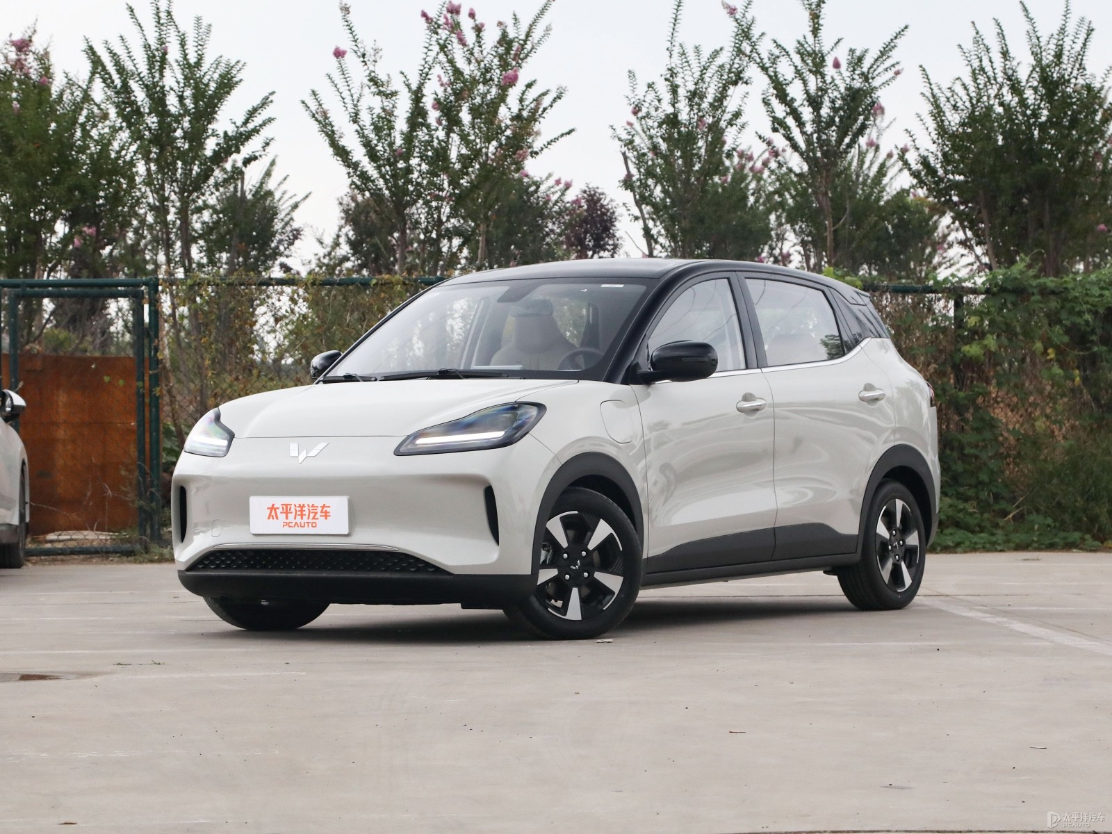 如今纯电动汽车的质量到底如何呢?