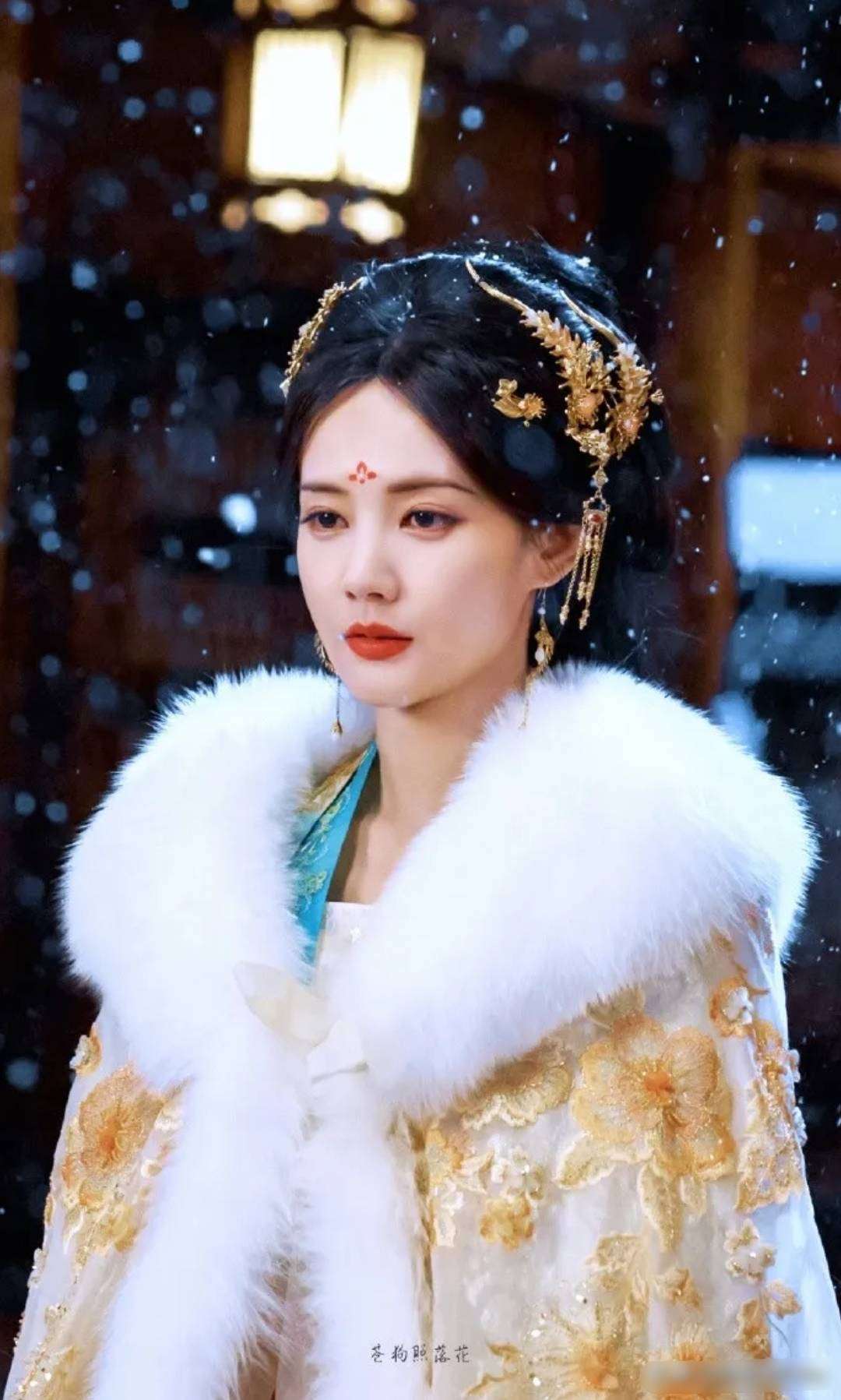 李一桐《金枝》陷北宋权贵圈,粉丝做人物关系图太烧脑