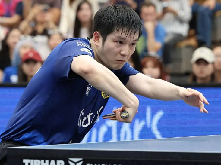 恭喜！樊振东又赢2场胜利，新年保持不败，德甲联赛连续打崩对手