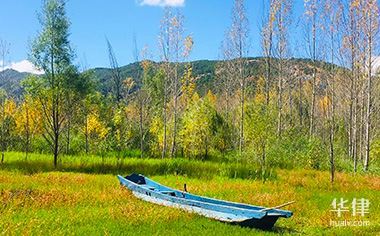 车撞了保险理赔流程