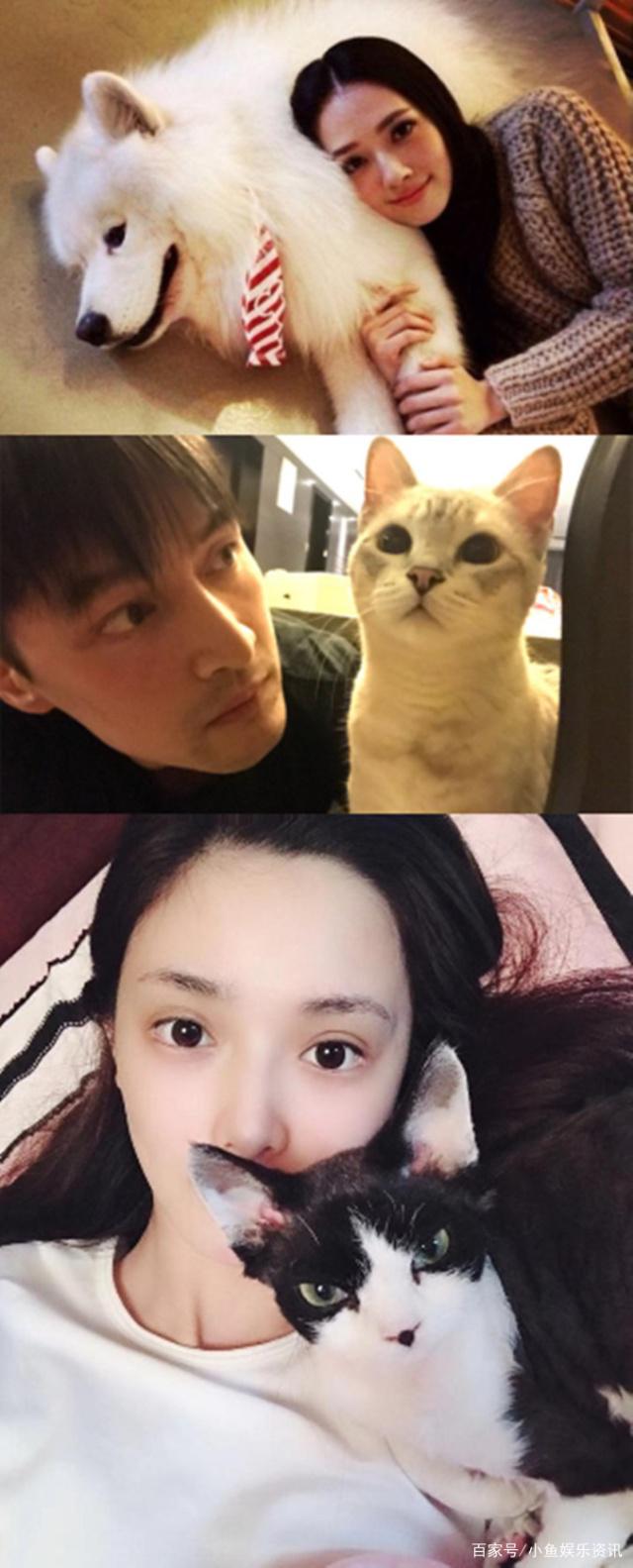 彭小苒拍戏压力大,自曝每天和猫聊天,一次能聊一小时