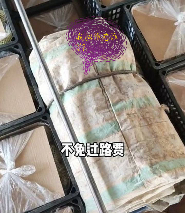 拉17吨苹果因一捆40斤篷布不免绿通?篷布“我招谁惹谁了?”