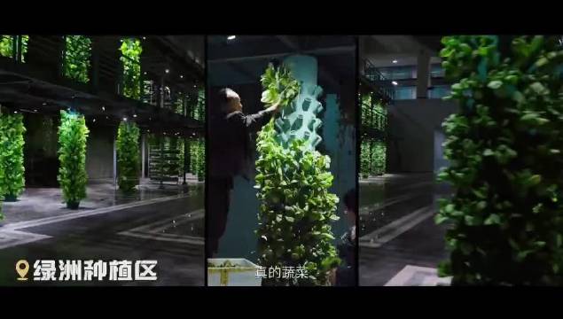 谁懂程潇×沈月同时出现在《明日乐园》里的含金量