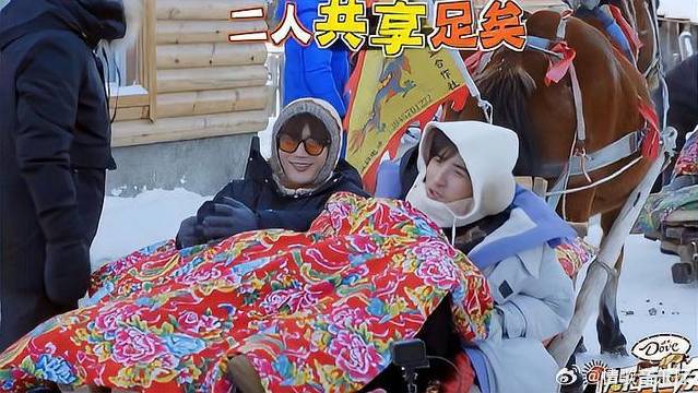 张远陆虎太享受了，降智兄弟同坐马拉爬犁，可怜我的糊糊！