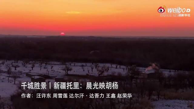 新疆托里晨光映胡杨