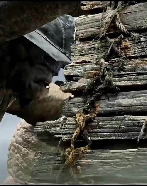 这种攻城墙方式看起来如何 指环王