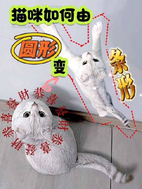 放慢了视频想要看清变形金刚变形的过程 镜头里却只有一道残影