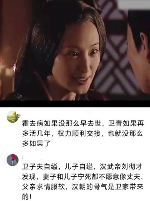 卫子夫一个敢对汉武帝亮剑的女人，卫家没有一个怂货！