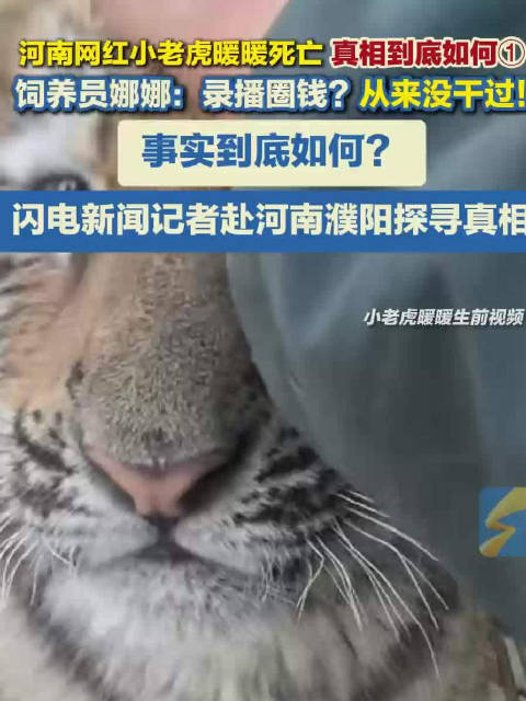 老虎暖暖饲养员否认录播圈钱