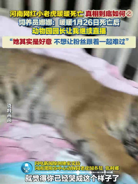 饲养员称园长好意隐瞒小老虎死讯