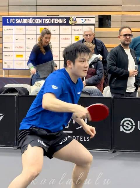 樊振东乒乓球赛场展风采