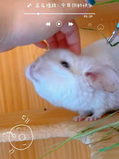 崽崽们一个星期的幼儿园记录