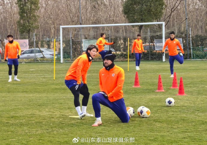 山东泰山队外援泽卡、瓦科在冬训中展现了哪些战术融入情况？