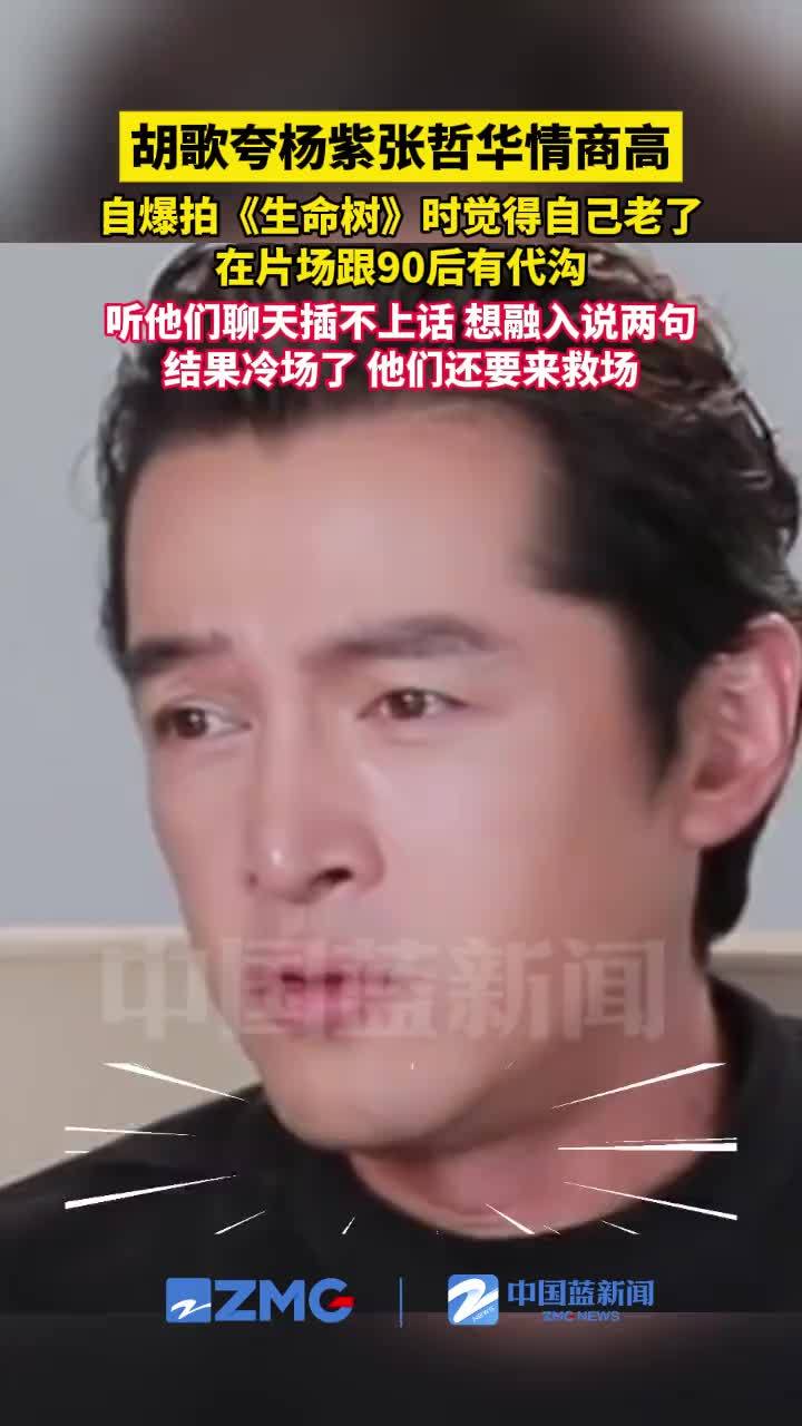 胡歌夸杨紫张哲华情商高