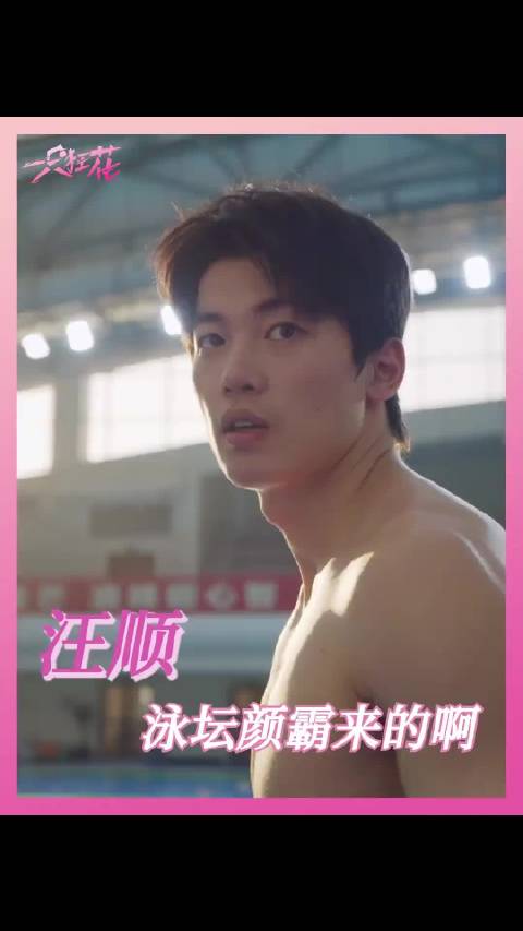 汪顺颜值只是他最不起眼的优点，汪顺