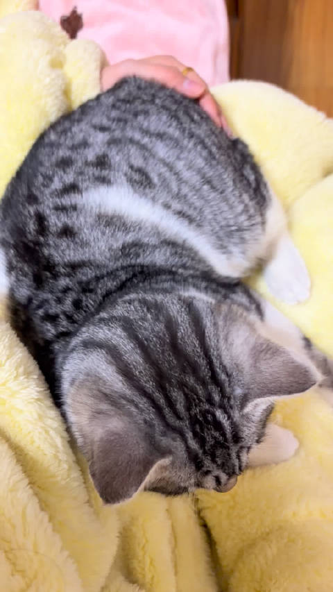 稳稳的卡车 超幸福