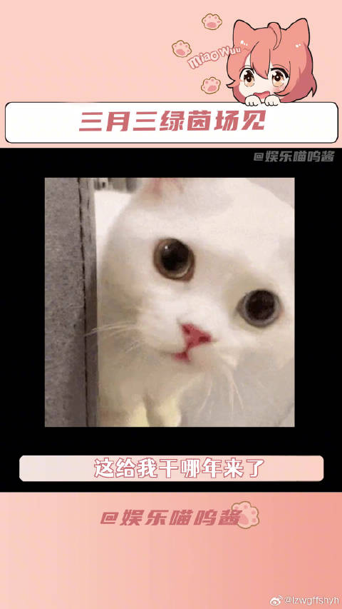 网友下单3月31日赴广西参加足球嘉年华