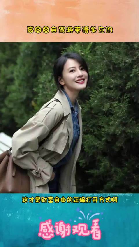 高圆圆自驾游全程松弛又自在