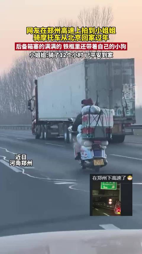 郑州高速现女子骑摩托带狗返乡过年