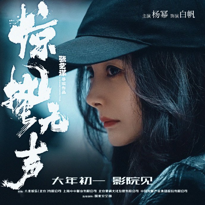 杨幂自称‘老姐姐’后，网络舆论主要有哪些不同的声音和观点？