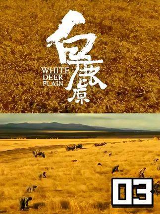 仙草油泼面香得让人魂牵梦绕！命运的齿轮正悄然转动…… biangbiang面