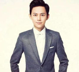 湖南卫视男主持人名单，才华与魅力并存的名嘴风采