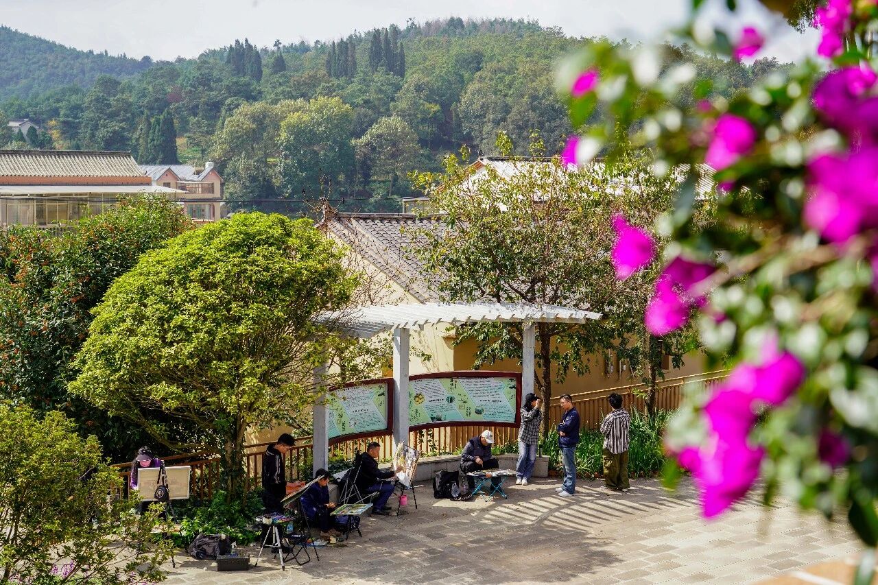 旅居热重燃土瓜冲