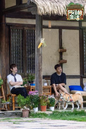 中国艺术报点赞《向往的生活-戏如人生》:角色与本我的镜像表达