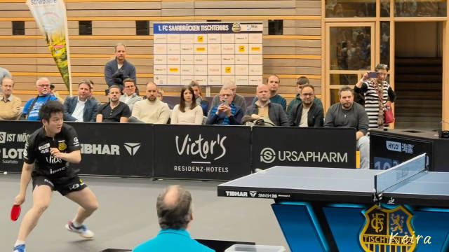 樊振东明晨出战欧冠，春节前夕献精彩对决