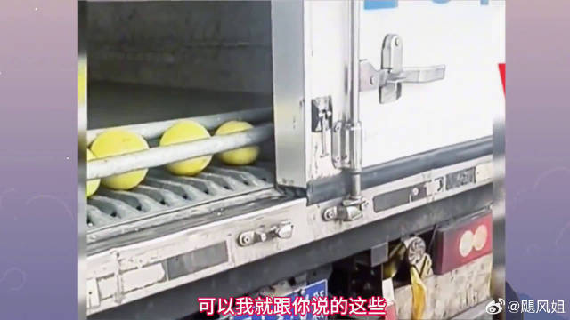 货车拉4个柚子走绿通，司机：空车都超载让我怎么弄