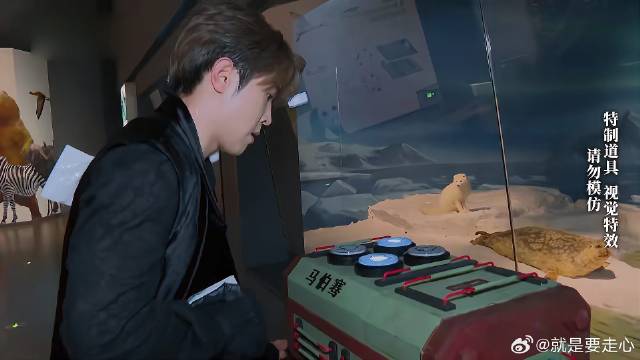 本以为马伯骞是来送死的！ 谁料一秒撕掉郑恺名牌，太牛