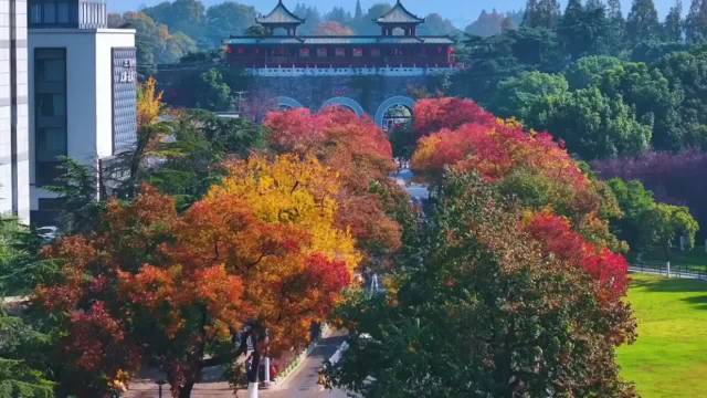 家庭阶层跃升靠系统化布局与长期坚持