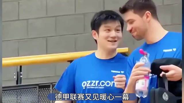 场上是定海神针，场下急坏众人，樊振东在德甲感受到了充分的尊重！