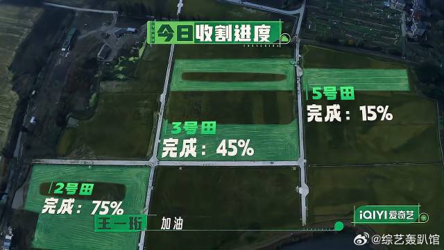 赵小童三观好正，做错事就给大家反思，好喜欢他！