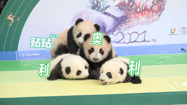 玖菜花叶组合出道四嘟嘟挤贴贴