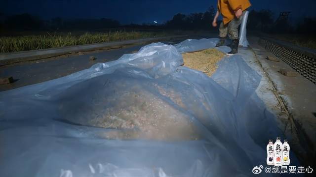 赵小童好有担当，半夜一人起床稻谷，太有爱了！