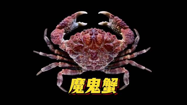 菲博主误食剧毒魔鬼蟹身亡