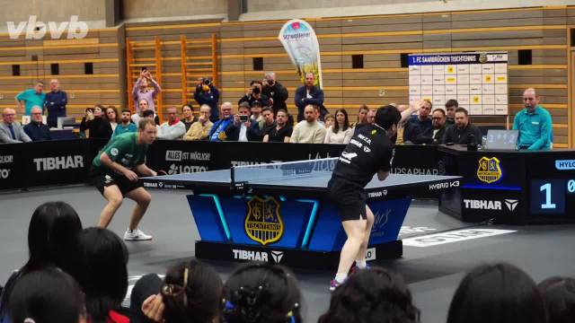 樊振东明晨欧冠对决莫雷加德，主场五千人满座