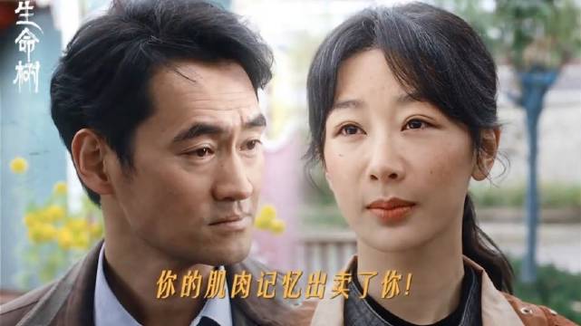 有些破绽，往往藏在下意识的细节里，杨紫 袁弘 白菊 孟耀辉