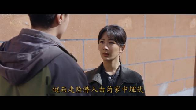 生命树：孟耀辉打晕白菊想灭口，白椿及时发现，孟耀辉跳窗逃跑