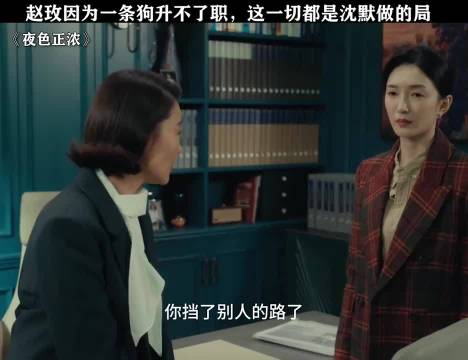 夜色正浓:不管是许云天的骚扰事件还是赵玫的升职事件，都是沈默在背后做的局
