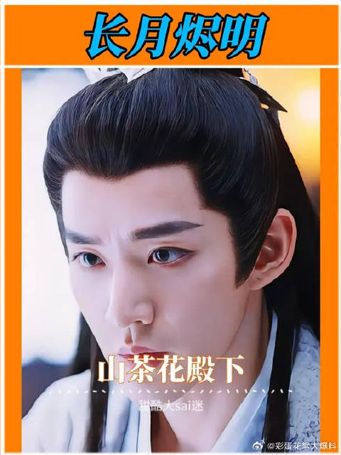 欠山茶花殿下一个完美的结局