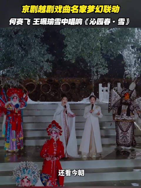 何赛飞王珮瑜梦幻联动