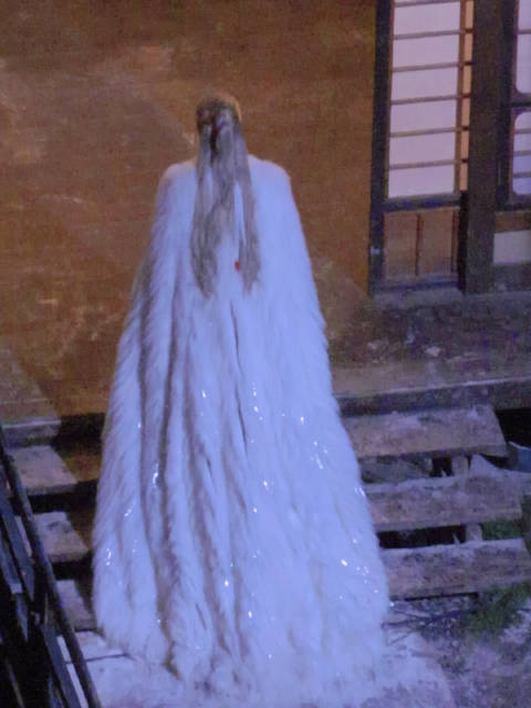 罗云熙新剧水龙吟唐俪辞引期待