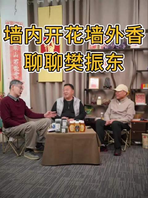 樊振东德国俱乐部赛事引发国际效应