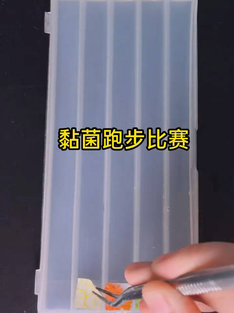 黏菌版速度与激情，谁会是倒数第一名？