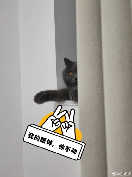 孙颖莎的日常私服穿搭有哪些标志性特点和颜色偏好？