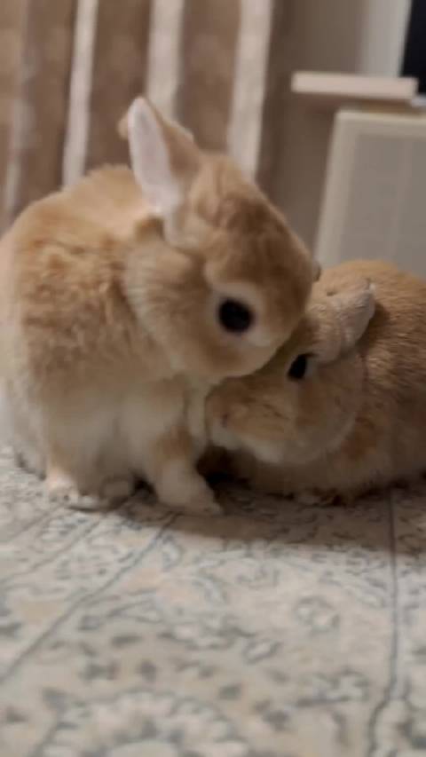 “你太宠她了吧”